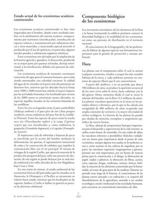 Estado actual de los ecosistemas acuáticos                          Componente biológico
continentales                                                       de los ecosistemas
Los ecosistemas acuáticos continentales se han visto                Los inventarios sistemáticos de los elementos de la flora
impactados por el hombre, dando como resultado cam-                 y la fauna (incluyendo la edáfica) permiten conocer la
bios en la morfometría del sistema acuático, enriqueci-             diversidad biológica y la estabilidad de los ecosistemas,
miento por nutrientes (eutroficación), introducción de              así como sus patrones de distribución en el territorio
especies exóticas y contaminación por substancias tóxi-             nacional.
cas y otros materiales, y mereciendo especial atención el               El conocimiento de la biogeografía y de las preferen-
producido por el uso de químicos; en particular, algunos            cias de hábitat de algunas especies son herramientas im-
metales pesados y substancias orgánicas sintéticas.                 portantes para la gestión de protección y manejo am-
    Estos ecosistemas son afectados por la ampliación de            biental.
la frontera agrícola y ganadera, la desecación, producida
en su mayor parte por quemas reiteradas, drenaje inten-             Flora
cional, y la eutroficación, debida a los procesos de colo-
nización.                                                           Las plantas son el componente sobre el cual se asienta
    Los ecosistemas acuáticos de montaña constituyen                cualquier ecosistema, tienden a ocupar los más variados
reservorios de agua para el consumo humano, pero están              hábitats de la tierra, y cada ambiente presenta un con-
siendo amenazados con celeridad creciente; la calidad               junto de especies (flora) que le son características.
del agua de los situados en la parte más alta presentan un              A partir del cámbrico, y en un periodo que abarca
deterioro leve, mientras que los ubicados hacia la franja           500 millones de años, se produce la aparición secuencial
entre 1000 y 2600 msnm han sufrido el mayor impacto                 de los seres vivos sobre la tierra, hasta culminar con la
por las actividades humanas y los localizados por encima            del género Homo, momento desde el cual se inicia la
de los 3000 msnm se encuentran menos afectados, en                  relación del hombre con la flora (2,5 millones de años).
especial, aquéllos situados en las vertientes húmedas de            Las plantas vasculares aparecieron en la tierra en los pe-
las cordilleras.                                                    riodos silúrico y devónico, por lo que se les calcula una
    Entre las aves extinguidas están el pato zambullidor            antigüedad de 400 millones de años, ocupando una
(Podiceps andinus) y el pato pico de oro (Anas georgica             amplia extensión de territorio y la mayor diversidad de
niceforoi), otrora endémicos del piso frío de la cordille-          nichos ecológicos. La historia de las plantas ha pasado
ra Oriental. Entre las especies de peces están la trucha            por oleadas de extinción, reemplazo y surgimiento epi-
arco iris (Oncorhynchus mykiss) y la carpa (Cyprinus                sódico de nuevas formas.
carpio) que son introducidas y, como endémicas, la                      La flora, además de proporcionar biotopos importan-
guapucha (Grundulus bogotensis) y el capitán (Eremophi-             tes para el desarrollo y supervivencia de la vida terrestre, se
lus mutisii).                                                       utiliza como fuente de materiales. En este orden de ideas,
    El importante ciclo de subiendas y bajanzas de peces            las vasculares inferiores o pteridofitos (helechos verdade-
es interferido por la acción del hombre mediante la                 ros) no tienen gran importancia desde el punto de vista
deforestación, las quemas, el taponamiento intencional              económico, aunque algunas son usadas en la medicina ca-
de caños y la construcción de embalses que impiden la               sera y como sustrato en los cultivos de orquídeas; por su
comunicación libre con el río principal. El sistema de              parte, las vasculares superiores (angiospermas y gimnos-
ciénagas de la región Caribe, que aporta la mayoría de la           permas) son más importantes, por ser fuente de materia
producción pesquera del país, sufre este proceso de afec-           prima para la construcción y el abrigo, la fabricación de
tación; de esta región se puede destacar por su mal esta-           papel, tejidos y plásticos, la obtención de fibras, aceites,
do ambiental a los valles aluviales de los ríos Magdalena,          ceras, especias, drogas, medicinas, taninos, tóxicos, bebi-
bajo Cesar y Sinú.                                                  das, la mayoría de los alimentos consumidos por la huma-
    En una visión de síntesis, el estado ambiental de los           nidad, así como de gran parte de las maderas. Durante un
ecosistemas lénticos del país indica que los situados en la         periodo muy largo de la historia, el conocimiento de las
Amazonia, la Orinoquia y el Pacífico se encuentran en               plantas estuvo asociado a su utilización y se requirió del
relativo buen estado, mientras que los localizados en las           descubrimiento de la agricultura, asociado a un cambio
regiones Andina y Caribe se hallan en general en proce-             tecnológico, social e intelectual en las sociedades humanas,
so de deterioro ambiental.                                          para encontrar un conocimiento sistemático de ellas.
                                                              v
EL MEDIO AMBIENTE EN COLOMBIA                                 312                                                      Ecosistemas
 