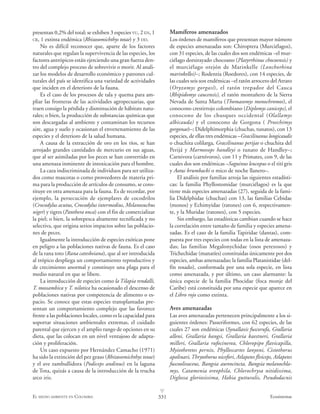 presentan 0,2% del total; se exhiben 3 especies VU, 2 EN, 1         Mamíferos amenazados
CR, 1 extinta endémica (Rhizosomichthys totae) y 3 DD.              Los órdenes de mamíferos que presentan mayor número
    No es difícil reconocer que, aparte de los factores             de especies amenazadas son: Chiroptera (Murciélagos),
naturales que regulan la supervivencia de las especies, los         con 31 especies, de las cuales dos son endémicas –el mur-
factores antrópicos están ejerciendo una gran fuerza den-           ciélago dorsirayado chocoano (Platyrrhinus chocoensis) y
tro del complejo proceso de sobrevivir o morir. Al anali-           el murciélago orejón de Marinkelle (Lonchorhina
zar los modelos de desarrollo económico y patrones cul-             marinkellei)–; Rodentia (Roedores), con 14 especies, de
turales del país se identifica una variedad de actividades          las cuales seis son endémicas –el ratón arrocero del Atrato
que inciden en el deterioro de la fauna.                            (Oryzomys gorgasi), el ratón trepador del Cauca
    Es el caso de los procesos de tala y quema para am-             (Rhipidomys caucensis), el ratón montañero de la Sierra
pliar las fronteras de las actividades agropecuarias, que           Nevada de Santa Marta (Thomasomys monochromos), el
traen consigo la pérdida y disminución de hábitats natu-            conocono crestirrojo colombiano (Diplomys caniceps), el
rales; o bien, la producción de substancias químicas que            conocono de los chusques occidental (Olallamys
son descargadas al ambiente y contaminan los recursos               albicauda) y el conocono de Gorgona ( Proechimys
aire, agua y suelo y ocasionan el envenenamiento de las             gorgonae)–; Didelphimorphia (chuchas, tunatos), con 13
especies y el deterioro de la salud humana.                         especies, de ellas tres endémicas –Gracilinanus longicaudis
    A causa de la extracción de oro en los ríos, se han             o chuchita colilarga, Gracilinanus perijae o chuchita del
arrojado grandes cantidades de mercurio en sus aguas,               Perijá y Marmosops handleyi o tunato de Handley–;
que al ser asimiladas por los peces se han convertido en            Carnivora (carnívoros), con 11 y Primates, con 9, de las
una amenaza inminente de intoxicación para el hombre.               cuales dos son endémicas –Saguinus leucopus o el tití gris
    La caza indiscriminada de individuos para ser utiliza-          y Aotus brumbacki o mico de noche llanero–.
dos como mascotas o como proveedores de materia pri-                    El análisis por familias arroja las siguientes estadísti-
ma para la producción de artículos de consumo, se cons-             cas: la familia Phyllostomidae (murciélagos) es la que
tituye en otra amenaza para la fauna. Es de recordar, por           tiene más especies amenazadas (27), seguida de la fami-
ejemplo, la persecución de ejemplares de cocodrilos                 lia Didelphidae (chuchas) con 13, las familias Cebidae
(Crocodylus acutus, Crocodylus intermedius, Melanosuchus            (monos) y Echimyidae (ratones) con 6, respectivamen-
niger) y tigres (Panthera onca) con el fin de comercializar         te, y la Muridae (ratones), con 5 especies.
la piel; o bien, la sobrepesca altamente tecnificada y no               Sin embargo, las estadísticas cambian cuando se hace
selectiva, que origina serios impactos sobre las poblacio-          la correlación entre tamaño de familia y especies amena-
nes de peces.                                                       zadas. Es el caso de la familia Tapiridae (dantas), com-
    Igualmente la introducción de especies exóticas pone            puesta por tres especies con todas en la lista de amenaza-
en peligro a las poblaciones nativas de fauna. Es el caso           das; las familias Megalonychidae (osos perezosos) y
de la rana toto (Rana catesbeiana), que al ser introducida          Trichechidae (manatíes) constituidas únicamente por dos
al trópico despliega un comportamiento reproductivo y               especies, ambas amenazadas; la familia Platanistidae (del-
de crecimiento anormal y constituye una plaga para el               fín rosado), conformada por una sola especie, en lista
medio natural en que se libere.                                     como amenazada, y por último, un caso alarmante: la
    La introducción de especies como la Tilapia rendalli,           única especie de la familia Phocidae (foca monje del
T. mossambica y T. nilotica ha ocasionado el descenso de            Caribe) está constituida por una especie que aparece en
poblaciones nativas por competencia de alimento o es-               el Libro rojo como extinta.
pacio. Se conoce que estas especies transplantadas pre-
sentan un comportamiento complejo que las favorece                  Aves amenazadas
frente a las poblaciones locales, como es la capacidad para         Las aves amenazadas pertenecen principalmente a los si-
soportar situaciones ambientales extremas, el cuidado               guientes órdenes: Passeriformes, con 62 especies, de las
parental que ejercen y el amplio rango de opciones en su            cuales 27 son endémicas (Synallaxis fuscorufa, Grallaria
dieta, que las colocan en un nivel ventajoso de adapta-             alleni, Grallaria bangsi, Grallaria kaestneri, Grallaria
ción y proliferación.                                               milleri, Grallaria rufocinerea, Chloropipo flavicapilla,
    Un caso expuesto por Hernández Camacho (1971)                   Myiotheretes pernix, Phylloscartes lanyoni, Cistothorus
ha sido la extinción del pez graso (Rhizosomichthys totae)          apolinari, Thryothorus nicefori, Atlapetes flviceps, Atlapetes
y el ave zambullidora (Podiceps andinus) en la laguna               fuscoolivaceus, Bangsia aureocincta, Bangsia melanochla-
de Tota, quizás a causa de la introducción de la trucha             mys, Catamenia oreophila, Chlorochrysa nitidissima,
arco iris.                                                          Diglossa gloriosissima, Habia gutturalis, Pseudodacnis
                                                              v
EL MEDIO AMBIENTE EN COLOMBIA                                 331                                                     Ecosistemas
 