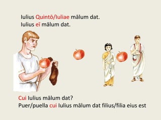 Iulius Quintō/Iuliae mālum dat.
Iulius eī mālum dat.
Cui Iulius mālum dat?
Puer/puella cui Iulius mālum dat filius/filia eius est
 