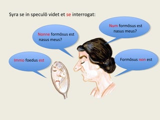 Syra se in speculō videt et se interrogat:
Num formōsus est
nasus meus?
Formōsus non est
Nonne formōsus est
nasus meus?
Immo foedus est
 