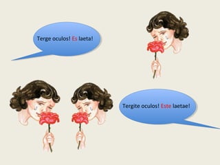 Terge oculos! Es laeta!
Tergite oculos! Este laetae!
 