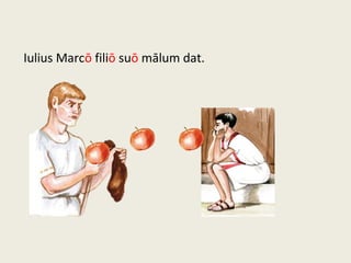 Iulius Marcō filiō suō mālum dat.
 