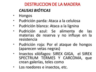 DESTRUCCION DE LA MADERA
,
CAUSAS 8/0TICAS
• Hongos
• Pudrición parda: Ataca a la celulosa
• Pudrición blanca: Ataca a la lignina
• Pudrición azul: Se alimenta de las
materias de reserva y no influye en la
resistencia
• Pudrición roja: Por el ataque de hongos
(aparecen vetas negras)
• Insectos xilófagos: SIREX GIGA, el SIREX
SPECTRUM TERMES Y CARCOMA, que
crean galerías, teles como
• Los roedores e insectos, etc.
 