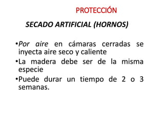 PROTECCIÓN
SECADO ARTIFICIAL {HORNOS)
•Por aire en cámaras cerradas se
inyecta aire seco y caliente
•La madera debe ser de la misma
•
especie
•Puede durar un tiempo de 2 o 3
semanas.
 