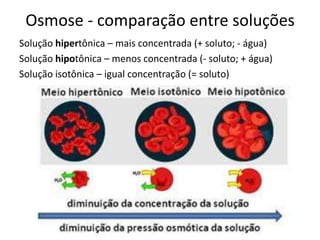 Osmose - comparação entre soluções
Solução hipertônica – mais concentrada (+ soluto; - água)
Solução hipotônica – menos concentrada (- soluto; + água)
Solução isotônica – igual concentração (= soluto)
 