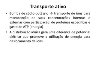 • Bomba de sódio-potássio  transporte de íons para
manutenção de suas concentrações internas e
externas com participação de proteínas específicas e
gasto de ATP (energia)
• A distribuição iônica gera uma diferença de potencial
elétrico que promove a utilização de energia para
deslocamento de íons
Transporte ativo
 