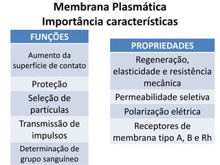 Membrana Plasmática
Importância características
FUNÇÕES
Aumento da
superfície de contato
Proteção
Seleção de
partículas
Transmissão de
impulsos
Determinação de
grupo sanguíneo
PROPRIEDADES
Regeneração,
elasticidade e resistência
mecânica
Permeabilidade seletiva
Polarização elétrica
Receptores de
membrana tipo A, B e Rh
 