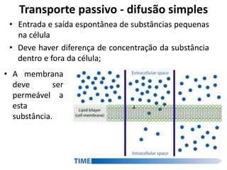 • Entrada e saída espontânea de substâncias pequenas
na célula
• Deve haver diferença de concentração da substância
dentro e fora da célula;
Transporte passivo - difusão simples
• A membrana
deve ser
permeável a
esta
substância.
 