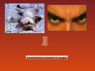 Características presente no sangue 