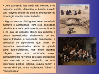 Uma expressão que ainda não ofendeu é  de pequena escala,  denotado o âmbito estreito das relações sociais ao qual as sociedades de tecnologia simples estão limitadas. Alguns autores distinguem entre sociedade  primitiva  e  camponesa.  Para eles, sociedade primitiva é aquela praticamente auto-suficiente e na qual as pessoas obtêm seu alimento e outras necessidades diretamente do seu próprio trabalho, e sociedade camponesa, a composta de agricultores que vivem em pequenas comunidades, ainda em grande parte auto-suficientes, mas tendo algumas relações com uma sociedade maior, particularmente na venda dos seus excedentes num mercado e na aceitação de uma autoridade política externa. Alguns fazem a mesma distinção entre sociedades “tribais” e “camponesas”. 