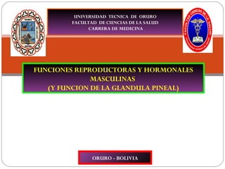 UNIVERSIDAD  TECNICA  DE  ORURO FACULTAD  DE CIENCIAS DE LA SALUD CARRERA DE MEDICINA ORURO - BOLIVIA FUNCIONES REPRODUCTORAS Y HORMONALES MASCULINAS  (Y FUNCION DE LA GLANDULA PINEAL) DOCENTE :DR   MAXIMO  TERAN  GARCIA UNIVERSITARIAS:  MARTHA MONTAÑO HUANCA GAVI MERCEDES ROSAS HUANC GESTION:  2011 