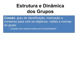 Coesão: grau de identificação, motivação e
consenso para com os objetivos, visões e normas
do grupo
– Coesão nem sempre implica em produtividade!!
Alta coesão Baixa coesão
Alto desafio de
desempenho
Alta
produtividade
Produtividade
moderada
Baixo desafio de
desempenho
Baixa
produtividade
Produtividade
moderada ou baixa
Estrutura e Dinâmica
dos Grupos
 