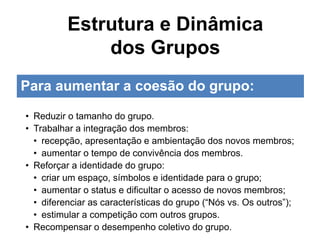 Para aumentar a coesão do grupo:
• Reduzir o tamanho do grupo.
• Trabalhar a integração dos membros:
• recepção, apresentação e ambientação dos novos membros;
• aumentar o tempo de convivência dos membros.
• Reforçar a identidade do grupo:
• criar um espaço, símbolos e identidade para o grupo;
• aumentar o status e dificultar o acesso de novos membros;
• diferenciar as características do grupo (“Nós vs. Os outros”);
• estimular a competição com outros grupos.
• Recompensar o desempenho coletivo do grupo.
Estrutura e Dinâmica
dos Grupos
 
