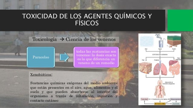 Enfermedades ambientales y nutricion Enfermedades ambientales y nutricion