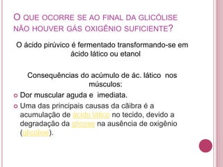 O QUE OCORRE SE AO FINAL DA GLICÓLISE
NÃO HOUVER GÁS OXIGÊNIO SUFICIENTE?
O ácido pirúvico é fermentado transformando-se em
ácido lático ou etanol
Consequências do acúmulo de ác. lático nos
músculos:
 Dor muscular aguda e imediata.
 Uma das principais causas da cãibra é a
acumulação de ácido lático no tecido, devido a
degradação da glicose na ausência de oxigênio
(glicólise).
 