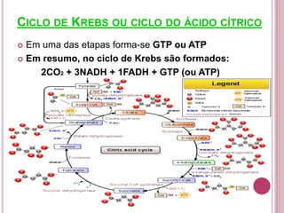 CICLO DE KREBS OU CICLO DO ÁCIDO CÍTRICO
 Em uma das etapas forma-se GTP ou ATP
 Em resumo, no ciclo de Krebs são formados:
2CO2 + 3NADH + 1FADH + GTP (ou ATP)
 