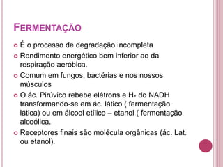 FERMENTAÇÃO
 É o processo de degradação incompleta
 Rendimento energético bem inferior ao da
respiração aeróbica.
 Comum em fungos, bactérias e nos nossos
músculos
 O ác. Pirúvico rebebe elétrons e H+ do NADH
transformando-se em ác. lático ( fermentação
lática) ou em álcool etílico – etanol ( fermentação
alcoólica.
 Receptores finais são molécula orgânicas (ác. Lat.
ou etanol).
 