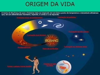 ORIGEM DA VIDA 