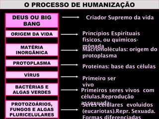 O PROCESSO DE HUMANIZAÇÃO DEUS OU BIG BANG ORIGEM DA VIDA MATÉRIA INORGÂNICA PROTOPLASMA VÍRUS BACTÉRIAS E ALGAS VERDES PROTOZOÁRIOS, FUNGOS E ALGAS PLURICELULARES Criador Supremo da vida Princípios Espirituais fisicos, ou quimicos-mônada Macromoléculas: origem do protoplasma Proteínas: base das células Primeiro ser vivo Primeiros seres vivos  com células.Reprodução assexuada Seres celulares  evoluidos (eucariotas).Repr. Sexuada. Formas diferenciadas 