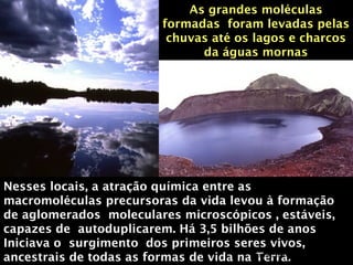 As grandes moléculas formadas  foram levadas pelas chuvas até os lagos e charcos da águas mornas Nesses locais, a atração química entre as macromoléculas precursoras da vida levou à formação de aglomerados  moleculares microscópicos , estáveis, capazes de  autoduplicarem. Há 3,5 bilhões de anos Iniciava o  surgimento  dos primeiros seres vivos, ancestrais de todas as formas de vida na Terra.  Marta/2000 