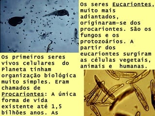 Os primeiros seres vivos celulares  do Planeta tinham organização biológica muito simples. Eram chamados de  Procariontes : A única forma de vida existente até 1,5 bilhões anos. As bactérias são exemplos de procariontes. Os seres  Eucariontes , muito mais adiantados, originaram–se dos procariontes. São os fungos e os protozoários. A partir dos eucariontes surgiram as células vegetais, animais e  humanas. 