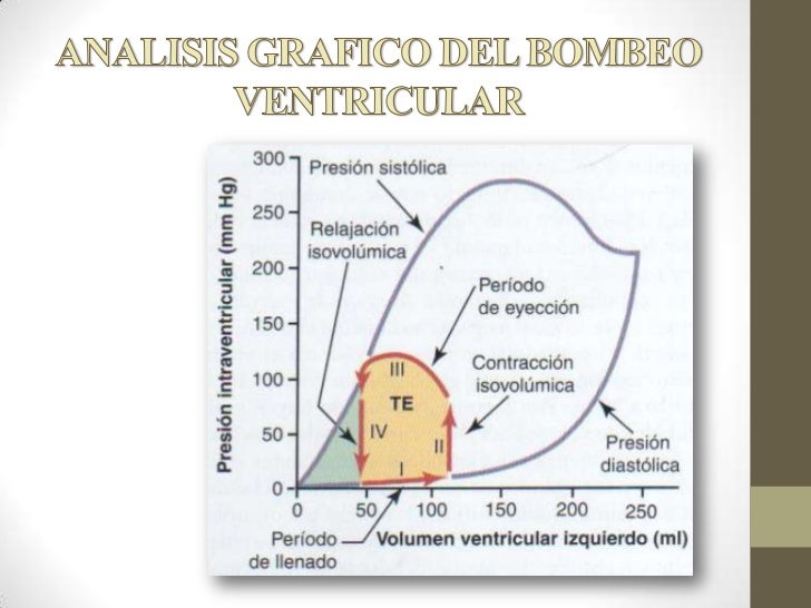 Resultado de imagen para AnÃ¡lisis grÃ¡fico del bombeo ventricular