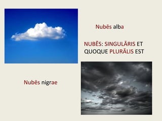 Nubēs alba
Nubēs nigrae
NUBĒS: SINGULĀRIS ET
QUOQUE PLURĀLIS EST
 