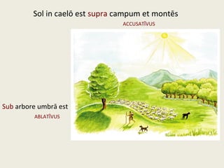 Sol in caelō est supra campum et montēs
Sub arbore umbrā est
ACCUSATĪVUS
ABLATĪVUS
 