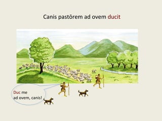 Canis pastōrem ad ovem ducit
Duc me
ad ovem, canis!
 