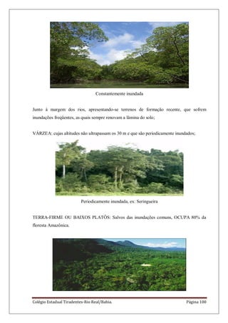 Colégio Estadual Tiradentes-Rio Real/Bahia. Página 100
Constantemente inundada
Junto à margem dos rios, apresentando-se terrenos de formação recente, que sofrem
inundações freqüentes, as quais sempre renovam a lâmina do solo;
VÁRZEA: cujas altitudes não ultrapassam os 30 m e que são periodicamente inundados;
Periodicamente inundada, ex: Seringueira
TERRA-FIRME OU BAIXOS PLATÔS: Salvos das inundações comuns, OCUPA 80% da
floresta Amazônica.
 