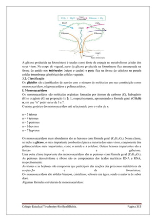 Colégio Estadual Tiradentes-Rio Real/Bahia. Página 315
A glicose produzida na fotossíntese é usadas como fonte de energia no metabolismo celular dos
seres vivos. No corpo do vegetal, parte da glicose produzida na fotossíntese fica armazenada na
forma de amido nos tubérculos (raízes e caules) e parte fica na forma de celulose na parede
celular (membrana celulósica) das células vegetais.
3.2. Classificação
Os glicídios são classificados de acordo com o número de moléculas em sua constituição como
monossacarídeos, oligossacarídeos e polissacarídeos.
I. Monossacarídeos
Os monossacarídeos são moléculas orgânicas formadas por átomos de carbono (C), hidrogênio
(H) e oxigênio (O) na proporção 1: 2: 1, respectivamente, apresentando a fórmula geral (CH2O)
n, em que ―n‖ pode variar de 3 a 7.
O nome genérico do monossacarídeo está relacionado com o valor de n.
n = 3 trioses
n = 4 tetroses
n = 5 pentoses
n = 6 hexoses
n = 7 heptoses
Os monossacarídeos mais abundantes são as hexoses com fórmula geral (C6H12O6). Nessa classe,
se inclui a glicose, o mais importante combustível para a maioria dos seres vivos, componente dos
polissacarídeos mais importantes, como o amido e a celulose. Outras hexoses importantes são a
frutose e a galactose.
Uma outra classe importante dos monossacarídeos são as pentoses com fórmula geral (C5H10O5).
As pentoses desoxirribose e ribose são os componentes dos ácidos nucléicos DNA e RNA,
respectivamente.
As trioses e as heptoses são compostos que participam das reações dos processos metabólicos da
respiração e da fotossíntese.
Os monossacarídeos são sólidos brancos, cristalinos, solúveis em água, sendo a maioria de sabor
doce.
Algumas fórmulas estruturais de monossacarídeos:
 