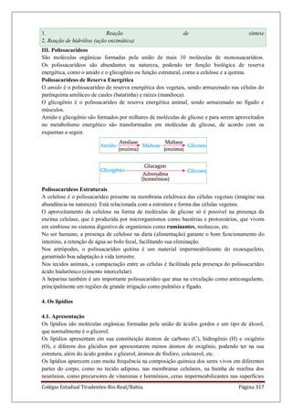 Colégio Estadual Tiradentes-Rio Real/Bahia. Página 317
1. Reação de síntese
2. Reação de hidrólise (ação enzimática)
III. Polissacarídeos
São moléculas orgânicas formadas pela união de mais 10 moléculas de monossacarídeos.
Os polissacarídeos são abundantes na natureza, podendo ter função biológica de reserva
energética, como o amido e o glicogênio ou função estrutural, como a celulose e a quitina.
Polissacarídeos de Reserva Energética
O amido é o polissacarídeo de reserva energética dos vegetais, sendo armazenado nas células do
parênquima amiláceo de caules (batatinha) e raízes (mandioca).
O glicogênio é o polissacarídeo de reserva energética animal, sendo armazenado no fígado e
músculos.
Amido e glicogênio são formados por milhares de moléculas de glicose e para serem aproveitados
no metabolismo energético são transformados em moléculas de glicose, de acordo com os
esquemas a seguir.
Polissacarídeos Estruturais
A celulose é o polissacarídeo presente na membrana celulósica das células vegetais (imagine sua
abundância na natureza). Está relacionada com a estrutura e forma das células vegetais.
O aproveitamento da celulose na forma de moléculas de glicose só é possível na presença da
enzima celulase, que é produzida por microrganismos como bactérias e protozoários, que vivem
em simbiose no sistema digestivo de organismos como ruminantes, moluscos, etc.
No ser humano, a presença de celulose na dieta (alimentação) garante o bom funcionamento do
intestino, a retenção de água ao bolo fecal, facilitando sua eliminação.
Nos artrópodes, o polissacarídeo quitina é um material impermeabilizante do exoesqueleto,
garantindo boa adaptação à vida terrestre.
Nos tecidos animais, a compactação entre as células é facilitada pela presença do polissacarídeo
ácido hialurônico (cimento intercelular).
A heparina também é um importante polissacarídeo que atua na circulação como anticoagulante,
principalmente em regiões de grande irrigação como pulmões e fígado.
4. Os lipídios
4.1. Apresentação
Os lipídios são moléculas orgânicas formadas pela união de ácidos gordos e um tipo de álcool,
que normalmente é o glicerol.
Os lipídios apresentam em sua constituição átomos de carbono (C), hidrogênio (H) e oxigênio
(O), e diferem dos glicídios por apresentarem menos átomos de oxigênio, podendo ter na sua
estrutura, além do ácido gordos e glicerol, átomos de fósforo, colesterol, etc.
Os lipídios aparecem com muita frequência na composição química dos seres vivos em diferentes
partes do corpo, como no tecido adiposo, nas membranas celulares, na bainha de mielina dos
neurônios, como precursores de vitaminas e hormônios, ceras impermeabilizantes nas superfícies
 
