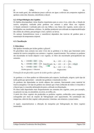 Colégio Estadual Tiradentes-Rio Real/Bahia. Página 318
de folhas e frutos, etc.
De um modo geral, são substâncias pouco solúveis em água e solúveis em compostos orgânicos
apolares como éter, benzeno, clorofórmio e álcool.
4.2. O Papel Biológico dos Lipídios
Os lipídios desempenham várias funções importantes para os seres vivos, entre elas, a função de
reserva energética, realizada pelas gorduras nos animais e pelos óleos nos vegetais.
A função estrutural é realizada pela cera nas folhas e nos frutos dos vegetais, assim como os
fosfolipídios nas membranas celulares. As abelhas produzem cera utilizada na impermeabilização
das células da colméia, para proteger o mel, o pólen e as larvas.
Os animais homeotérmicos (aves e mamíferos) dependem das reservas de gordura para a
manutenção da temperatura corporal.
4.3. Classificação
I. Glicerídeos
São lipídios formados por ácidos gordos e glicerol.
Os glicerídeos mais comuns nos seres vivos são as gorduras e os óleos, que funcionam como
material de reserva energética nos animais e vegetais, respectivamente. Nos animais as gorduras
são encontradas no tecido adiposo e nos vegetais, os óleos são encontrados principalmente nas
sementes.
Formação de um glicerídio a partir de ácidos gordos e glicerol.
As gorduras e os óleos podem ser diferenciados pelo aspecto, localização, origem e pelo tipo de
ácido gordo que apresentam – saturado nas gorduras e insaturado no óleo.
As gorduras são depositadas no tecido adiposo dos animais, funcionando como material de
reserva energética. Um tipo de gordura nos animais que é bem conhecido de todos é o toucinho e
o bacon (que é o toucinho defumado) do porco, utilizado na alimentação.
Os óleos estão depositados mais frequentemente nas sementes dos vegetais, como, por exemplo,
no girassol, na soja, no amendoim, no arroz, no milho, etc.
A partir dos óleos vegetais são produzidas as gorduras vegetais, conhecidas como margarinas,
conseguidas por meio de reações de hidrogenação com aquecimento. Na constituição das
margarinas, além do óleo vegetal, estão presentes vitaminas, sais minerais e conservantes.
A seguir, esquematizamos a obtenção da margarina por hidrogenação de óleos vegetais
insaturados.
 