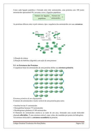 Colégio Estadual Tiradentes-Rio Real/Bahia. Página 322
Como cada ligação peptídica é formada entre dois aminoácidos, uma proteína com 100 (cem)
aminoácidos apresentará 99 ( noventa e nove ) ligações peptídicas.
As proteínas diferem entre si pelo número, tipo e sequência dos aminoácidos em suas estruturas.
1) Reação de síntese
2) Reação de hidrólise (digestão) com ação de uma protease
5.3. As Estruturas das Proteínas
A sequência linear de aminoácidos de uma proteína define sua estrutura primária.
Estrutura primária de um oligopeptidio
O número de aminoácidos é muito variável de uma proteína para outra:
• Insulina bovina 51 aminoácidos
• Hemoglobina humana 574 aminoácidos
• Desidrogenase glutâmica 8 300 aminoácidos
O filamento de aminoácidos enrola-se ao redor de um eixo, formando uma escada helicoidal
chamada alfa-hélice. É uma estrutura estável, cujas voltas são mantidas por pontes de hidrogênio.
Tal estrutura helicoidal é a estrutura secundária da proteína.
 
