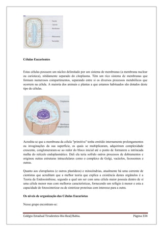 Colégio Estadual Tiradentes-Rio Real/Bahia. Página 334
Células Eucariontes
Estas células possuem um núcleo delimitado por um sistema de membranas (a membrana nuclear
ou carioteca), nitidamente separado do citoplasma. Têm um rico sistema de membranas que
formam numerosos compartimentos, separando entre si os diversos processos metabólicos que
ocorrem na célula. A maioria dos animais e plantas a que estamos habituados são dotados deste
tipo de células.
Acredita-se que a membrana da célula primitiva tenha emitido internamente prolongamentos
ou invaginações da sua superfície, os quais se multiplicaram, adquiriram complexidade
crescente, conglomeraram-se ao redor do bloco inicial até o ponto de formarem a intrincada
malha do retículo endoplasmático. Dali ela teria sofrido outros processos de dobramentos e
originou outras estruturas intracelulares como o complexo de Golgi, vacúolos, lisossomos e
outras.
Quanto aos cloroplastos (e outros plastídeos) e mitocôndrias, atualmente há uma corrente de
cientistas que acreditam que a melhor teoria que explica a existência destes orgânulos é a
Teoria da Endossimbiose, segundo a qual um ser com uma célula maior possuía dentro de sí
uma célula menor mas com melhores características, fornecendo um refúgio à menor e esta a
capacidade de fotossintetizar ou de sintetizar proteínas com interesse para a outra.
Os níveis de organização das Células Eucariotas
Nesse grupo encontram-se:
 