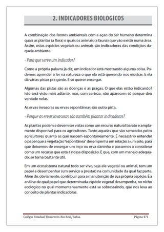 Colégio Estadual Tiradentes-Rio Real/Bahia. Página 471
 