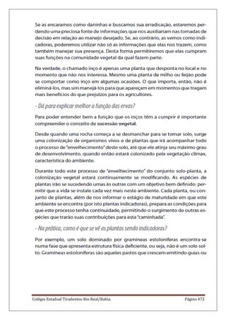 Colégio Estadual Tiradentes-Rio Real/Bahia. Página 472
 