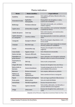 Colégio Estadual Tiradentes-Rio Real/Bahia. Página 475
 