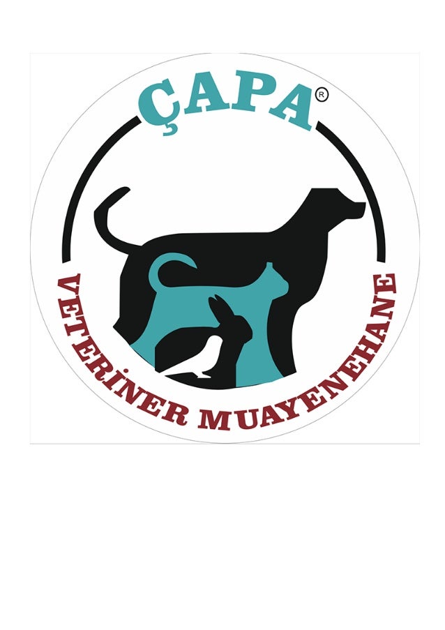 Hpc Gpc Vet Hpc Vet Goruntuler Facebook