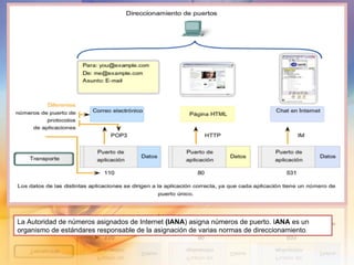 La Autoridad de números asignados de Internet  (IANA ) asigna números de puerto. I ANA  es un organismo de estándares responsable de la asignación de varias normas de direccionamiento . 