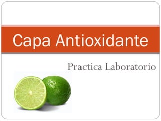 Capa Antioxidante
      Practica Laboratorio
 