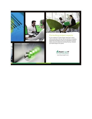 TeamLogic IT Capabilities Brochure