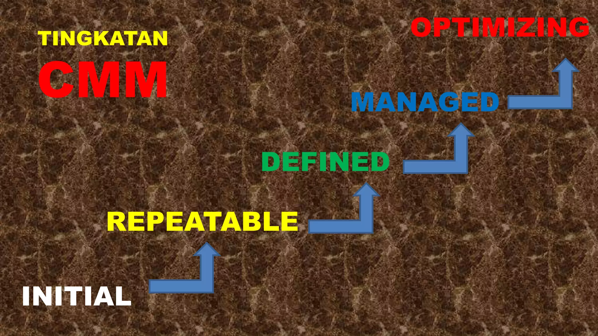 Capability Maturity Model | PPTX