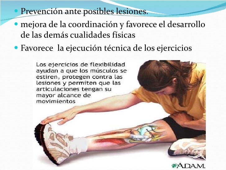 Capacidad condicional flexibilidad 3