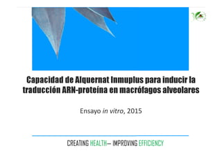 Capacidad de Alquernat Inmuplus para inducir la
traducción ARN-proteína en macrófagos alveolares
Ensayo in vitro, 2015
 