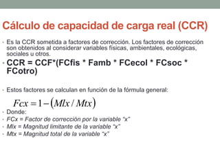 Capacidad de carga en playas v7 | PPTX