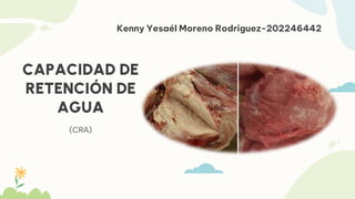 CAPACIDAD DE
RETENCIÓN DE
AGUA
(CRA)
Kenny Yesaél Moreno Rodriguez-202246442
 