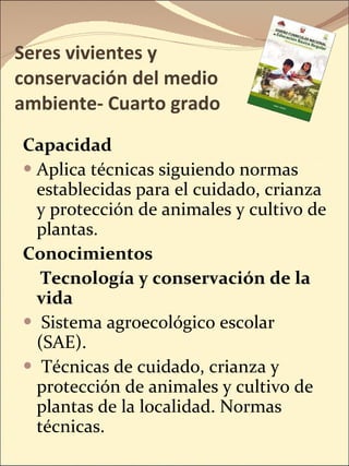 Seres vivientes y conservación del medio ambiente- Cuarto grado Capacidad Aplica técnicas siguiendo normas establecidas para el cuidado, crianza y protección de animales y cultivo de plantas. Conocimientos Tecnología y conservación de la vida Sistema agroecológico escolar (SAE). Técnicas de cuidado, crianza y protección de animales y cultivo de plantas de la localidad. Normas técnicas. 