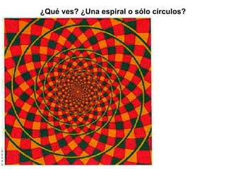 ¿Qué ves? ¿Una espiral o sólo círculos? 