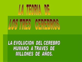 LA  TEORIA  DE LOS TRES  CEREBROS LA EVOLUCION  DEL CEREBRO HUMANO  A TRAVES  DE MILLONES  DE  AÑOS. 